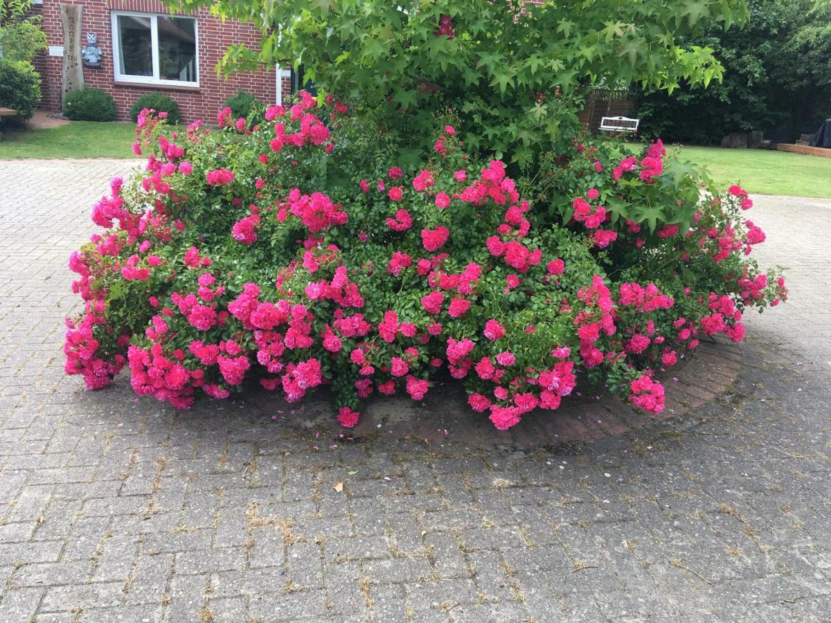 Hoeperhof Appartement *
